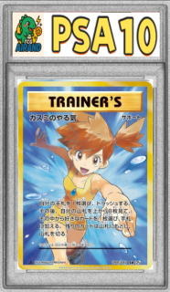 PSA10ۥߤΤ뵤SR{099/087}