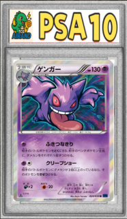 PSA10ۥ󥬡R{024/059} [XY]