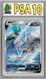 PSA10ۤϤХХɥåV(SA)SR{073/070}