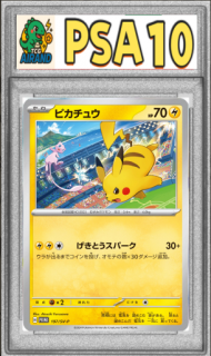 PSA10ۥԥ奦P{197/SV-P} 