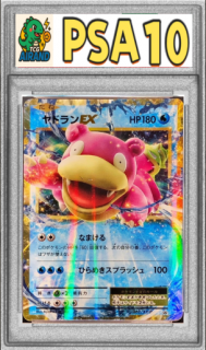 PSA10ۥɥEXP{262/XY-P}
