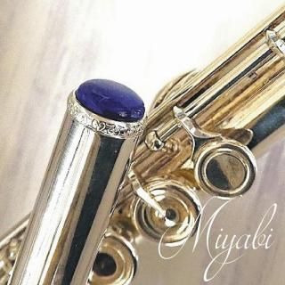 NobleCrown Type4 󥰥ϡPremium LapisLazuli Ρ֥륯饦󡡥ץߥԥ饺浮°ηȿĥ륯åȡ
