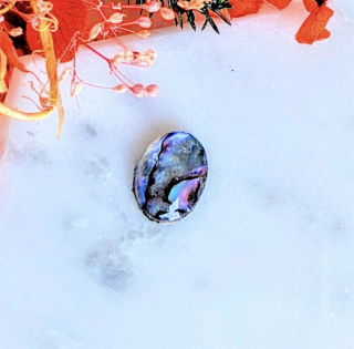 Х󥷥Υܥԥ󥰡1711