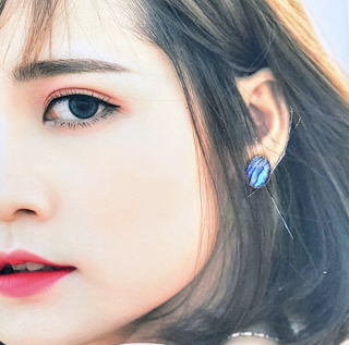 Х󥷥Υܥԥ󥰡1711