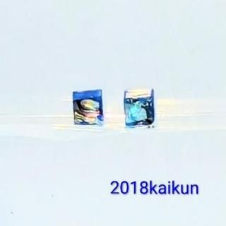 �����ʥ֥롼����Υ��������ԥ��������󥰡�1542��