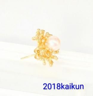 �����¤ꡡ���ʼ������俿��ȥ��󥴤Υԥ���A3007