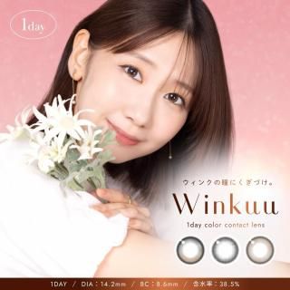 ȯ ͳ ץǥ塼 Winkuu 1day 󥯥
