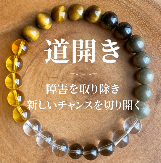 �ӥ��ͥ�����Ƥӹ��������ؤ���򳫤��������������֥쥹��å�