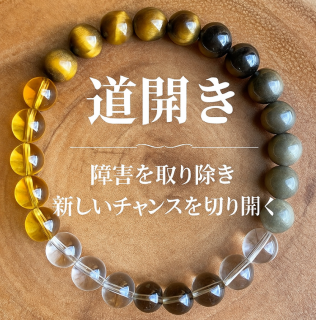 �ӥ��ͥ�����Ƥӹ��������ؤ���򳫤��������������֥쥹��å�