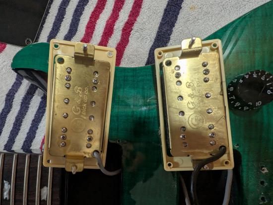 PRS SE Custom 24 / ݡ꡼ɥߥ