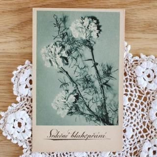 1940-50ǯΥݥȥɡ̤ѡˡ͡