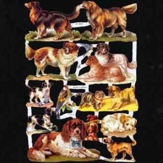 ɥĤθŤ⥹ܥĥ븤ȥͥ