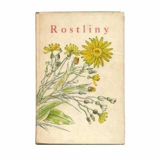 Rostliny1935ǯ Karel Svolinsky 롦󥹥