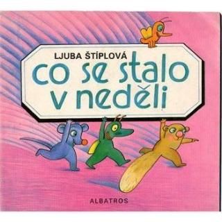 Co se stalo v nedeli1989ǯ