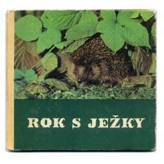 Rok s jezky1981ǯ