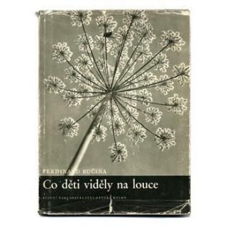 Co deti videly na louce1954ǯ