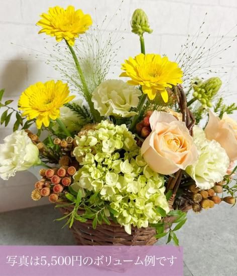 �ե�����󥸥��ȡʰ��̥�������