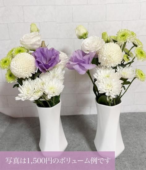 �������֥��������С���«��