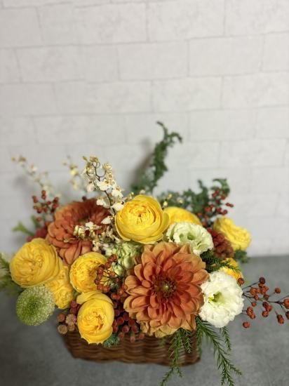 ����Τ��֥������ʥ���󥸡�