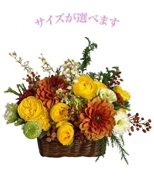 �ե�����󥸥��ȡ��緿��������