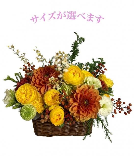 �ե�����󥸥��ȡ��緿��������