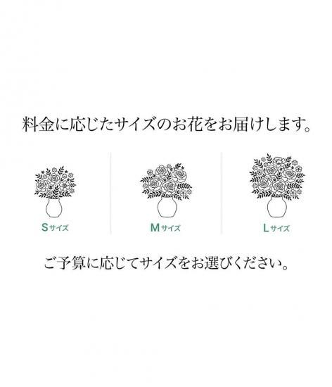 ��«���緿��������