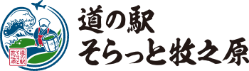 ƻ�αإ������ѡ������